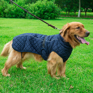 Why Your Pet Deserves the Best: The Adjustable Warm Cotton Jacket